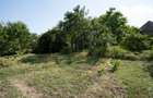 Casă de vânzare în Rotbav | Teren 1.500 mp | Zonă centrală - 7