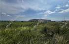 Teren intravilan de 6000 mp zona Industriala de Vest din Sibiu - 2