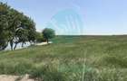 Locatia ideala pentru Casa de Vis ! - Ultimul lot langa lac - 4