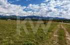 Teren 21.573mp, front 516m, view munte. Utilități în zonă. Hai la vizionare! - 3