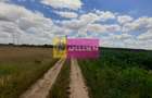 Teren 715mp în Snagov lângă Equestria - 1