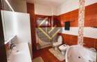 Vila  INVIDUALA ELEGANTA RENOVATA zona Domenii Arcul de Triumf - 9