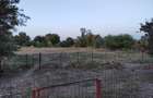 De vanzare Casa cu 3 camere si 2 parcele de teren comasate in Crai Nou - 8