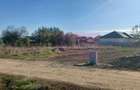 Săbăreni, teren rezidential 6290 mp, cu 52m FS, utilitati in apropiere - 3