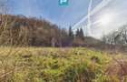 Casă P+E+M cu teren 8163 mp – Roșia Nouă (Petriș) - 13