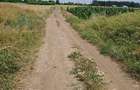 Frumusani DN 4 Popas-20km de Bucuresti , posibilitate parcelare