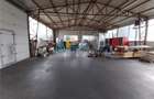 Royal Imobiliare - Vanzare Spatiu Industrial zona Exterior Est - 4