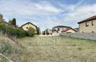 Teren de vanzare, 774 mp in Dumbravita - 1
