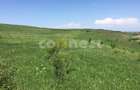 Vanzare teren pentru casa/duplex cu PUZ, la 6 min de Cluj-Napoca