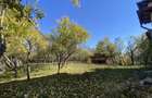Casa+teren 2713 mp in loc. Babana, jud. Arges. Comision 0% - 3