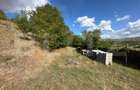 Teren intravilan, 2.700 mp, zona Viisoara - 4