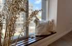 Studio elegant si confortabil, etaj intermediat, complex City of Mara - 12
