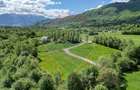 Teren 500mp Tohanita (intre castelul Bran si Zarnesti), padure + parau - 9