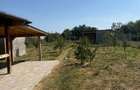 Casă de vânzare în Diniaș | Teren 1.460 mp | Construcție 2023 | Comple
