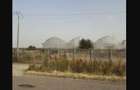 Spațiu industrial, 7300 mp în Uivar - 2