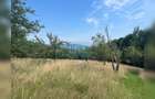 Teren cu potențial turistic, cadru natural rar, 20.000 mp  Sacuieu - 11