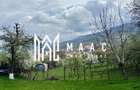 Teren Intravilan | 855 MP | Săliște - 5