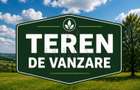 Teren - Mosnita Veche - Toate Utilitatile - 1