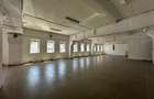 Spatii comerciale birouri Calea Chisinaului Leroy de la 67mp la 500mp - 13