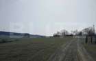 Teren intravilan, 15.904 mp, zona Dambu - 1