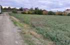 DE VANZARE TEREN 2000 MP  -  COSERENI( il ) - 12