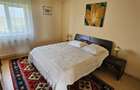 Ciopani vila 5 camere teren 4000 mp - 27
