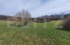 Teren de vanzare extravilan, 1ha, drumul Sigmirului - 2