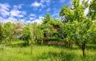 Casa 3 camere si teren 4873 mp  în Pietroasa, Moldovenești - 16