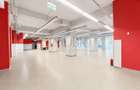 Spațiu comercial excelent | Fost Mega Image