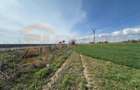 Teren de vânzare | 18.000 mp | Deschidere la DN | Ideal investiție - 14