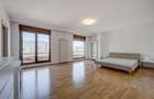 Penthouse spectaculos 5 camere, 482 mp, lift privat, Herastrau – Satul Francez - 28