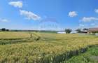 Teren 15,000mp Salcea-Prelipca, Suceava - 6