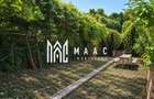 Apartament 4 camere de vânzare | Cisnădie, Ultracentral | pivniță - 10