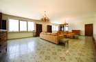 For renting 7 rooms penthouse, Herastrau Park, UNIQUE! - 3
