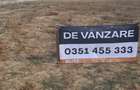 Teren de 800mp , pe aleea 1 Grajdani, Filiasi,25000 euro - 1