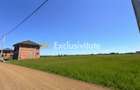Teren de vânzare în Comuna Bradu -central– Strada Frații Preda! - 4