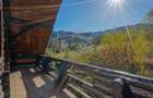 CASA INCONJURATA DE NATURA | 8 CAMERE | CANIONUL 7 SCARI BRASOV - 43
