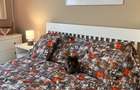 AR5343 - VÂNZARE AIRBNB BUSINESS • DIRECT PROPRIETAR • 0% COMISION - 26
