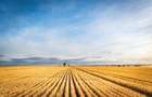 PORTOFOLIU AGRICOL PREMIUM 3.000 HA SUDUL ROMÂNIEI OPORTUNITATE INVESTIȚIONALĂ - 1
