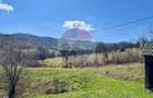Teren 7,495mp Barsana /  Valea Muntelui