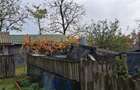 Casa 6 camere, teren 1700 mp, deschidere dubla, Insuratei - 5