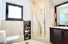Vila Premium P+1+M in Odaile/Otopeni - 365 mp suprafata utila, 900 mp teren - 5