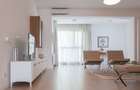 Penthouse deosebit cu 3 camere de inchiriat langa Piata Victoriei - 25