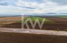 Teren exceptional pentru investitii industriale langa Brasov - 12