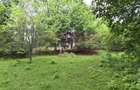 Teren de vanzare in Breaza, Nistoresti - 11