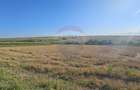 Teren intravilan, 7500 mp in Moara Carp / Strada Eternitatii-Suceava - 8