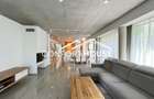 Vila moderna, P+2, mobilat, IANCU NICOLAE - 6