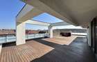 Penthouse 4 camere 247 mp Drumul Lapus Sector 1 - 1