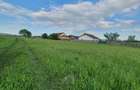 Teren rezidential Bod-Brasov zona de case - 4