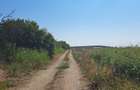 Vand 2.5 ha teren extravilan langa centura VTM - 2